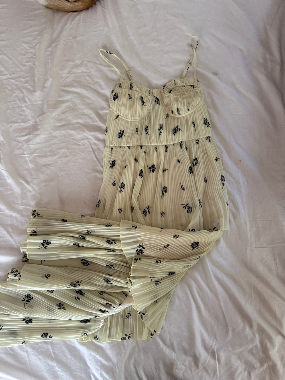 NWT Cider Cream Pleated Floral Maxi Dress with Black Rose Print